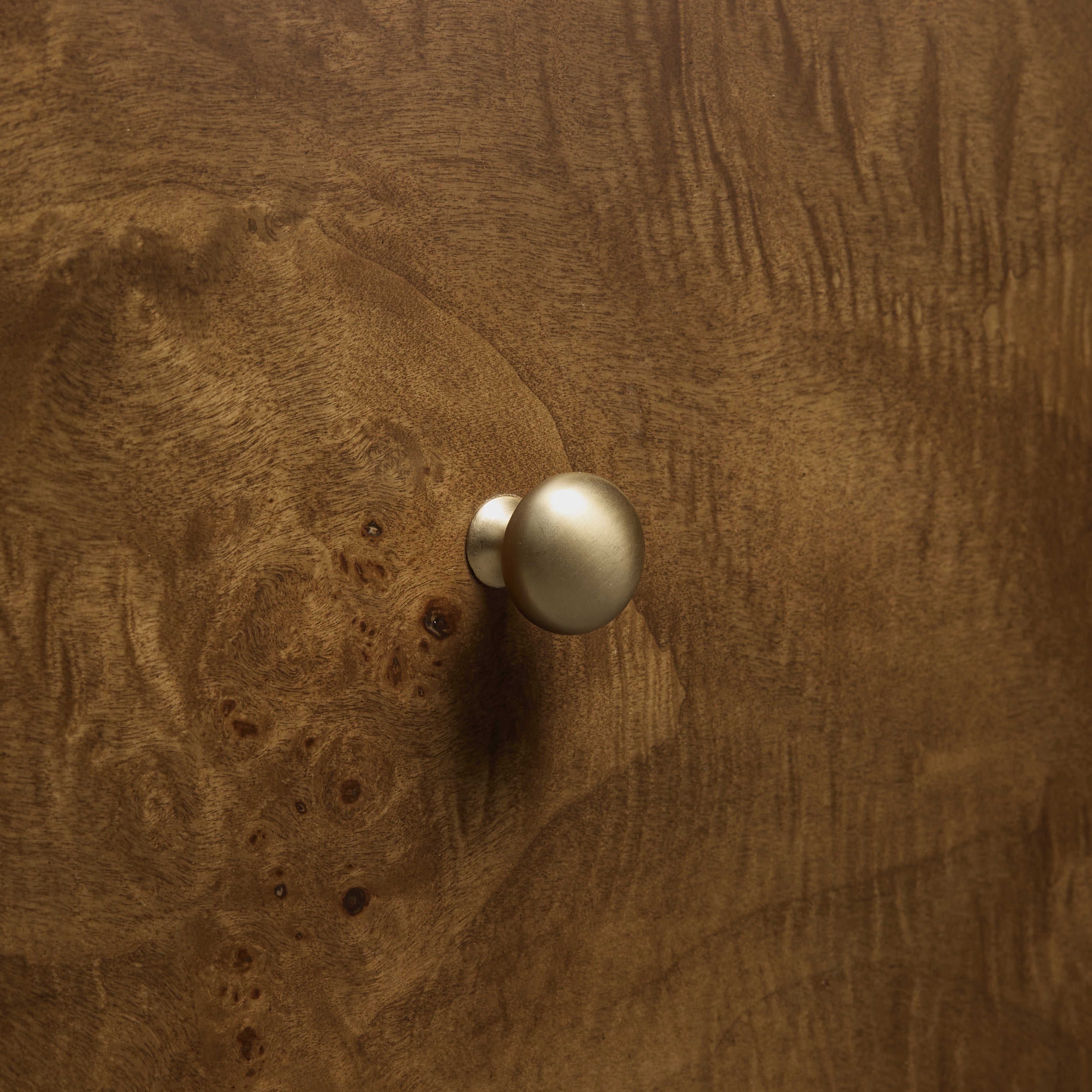 Modern Burl Walnut Walnut Wood Nightstand with Storage for Bedroom