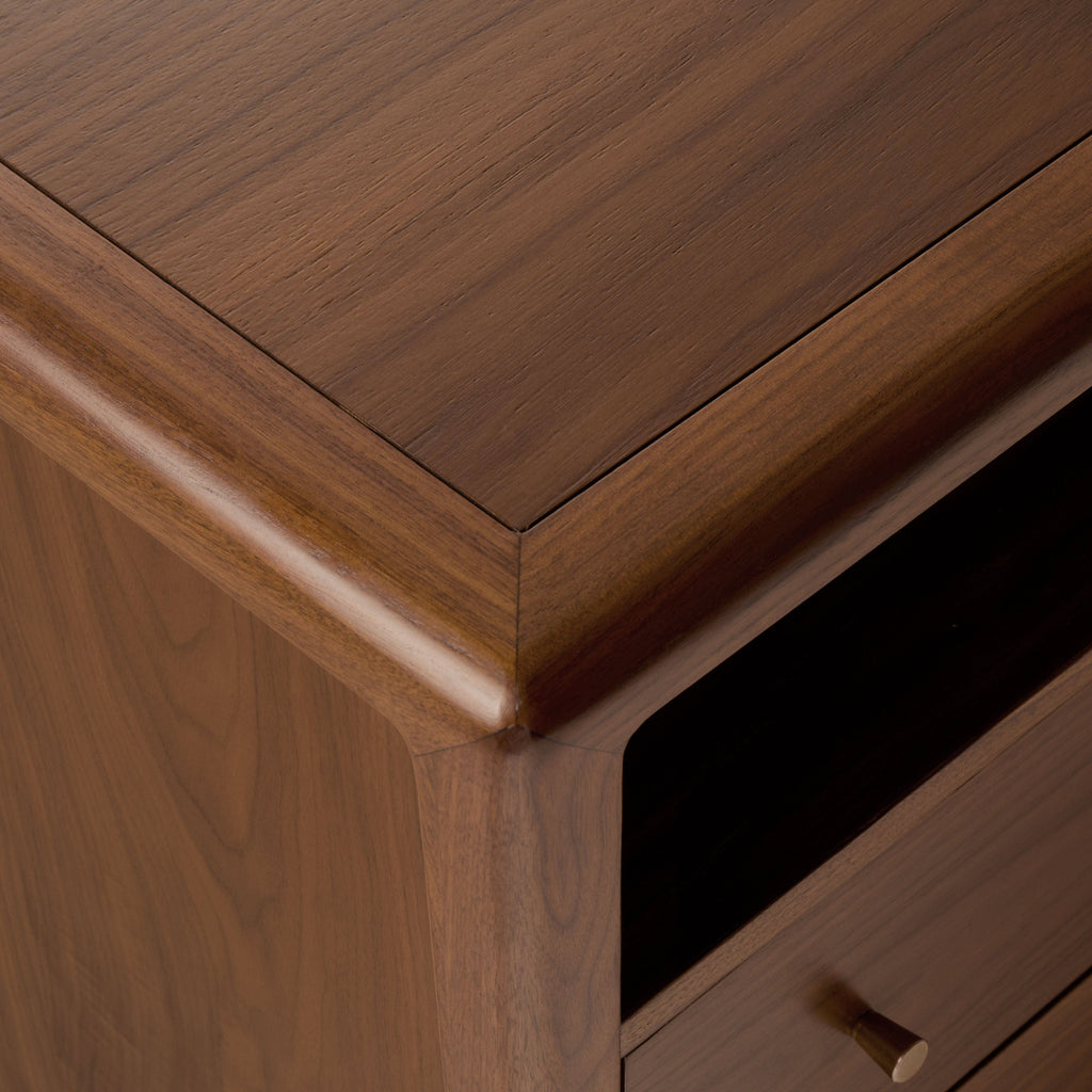Modern Walnut Walnut Wood Nightstand with Solid Walnut Frame