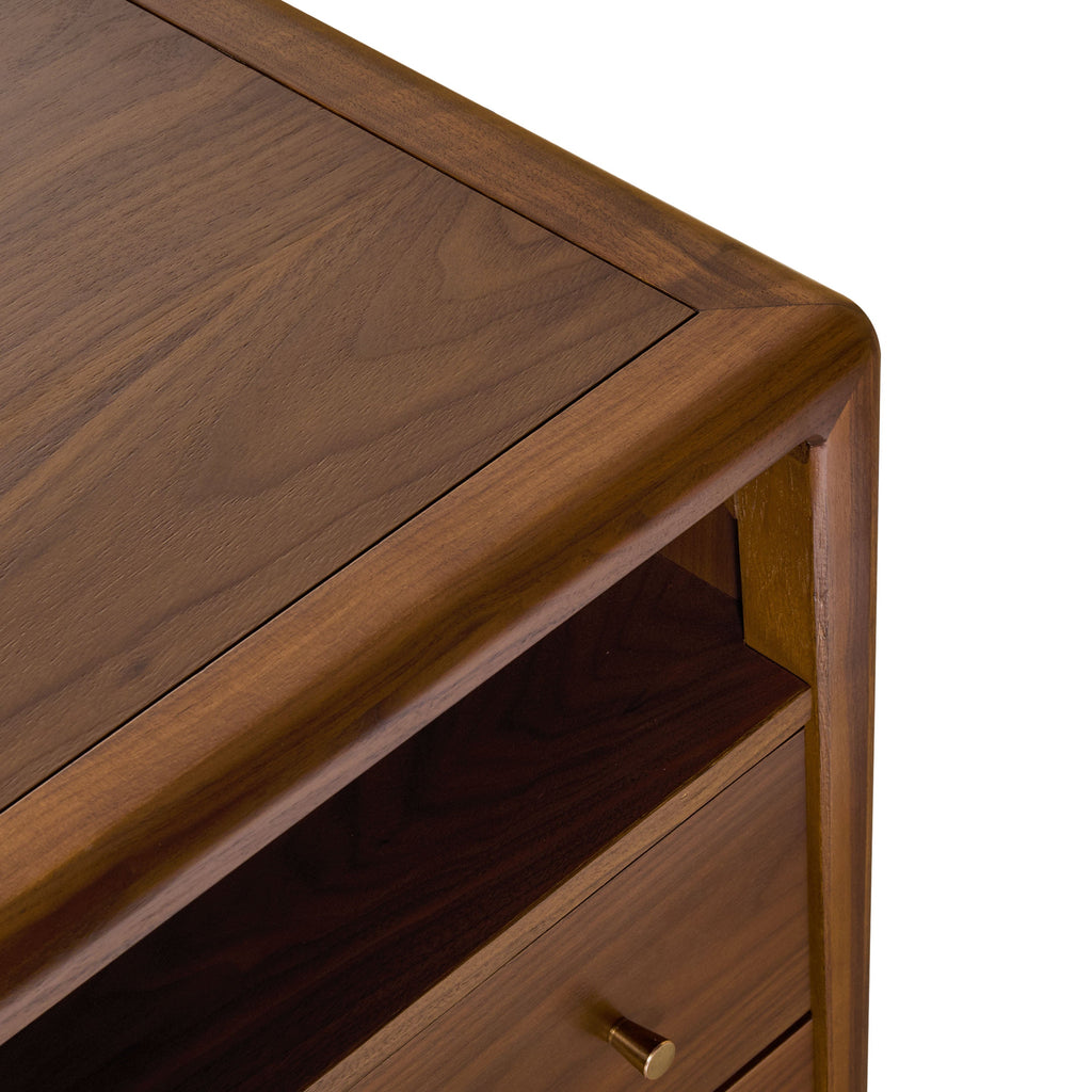 Modern Walnut Walnut Wood Nightstand with Solid Walnut Frame