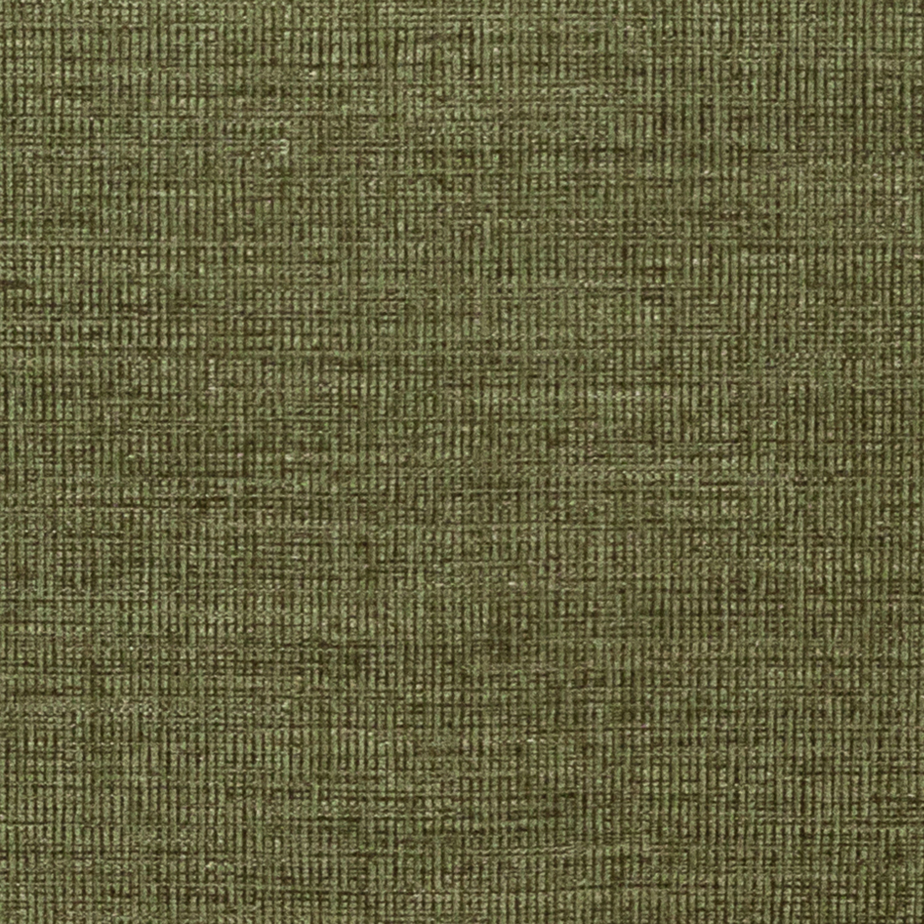 Modern Moss Green Dining Chair for Dining Room