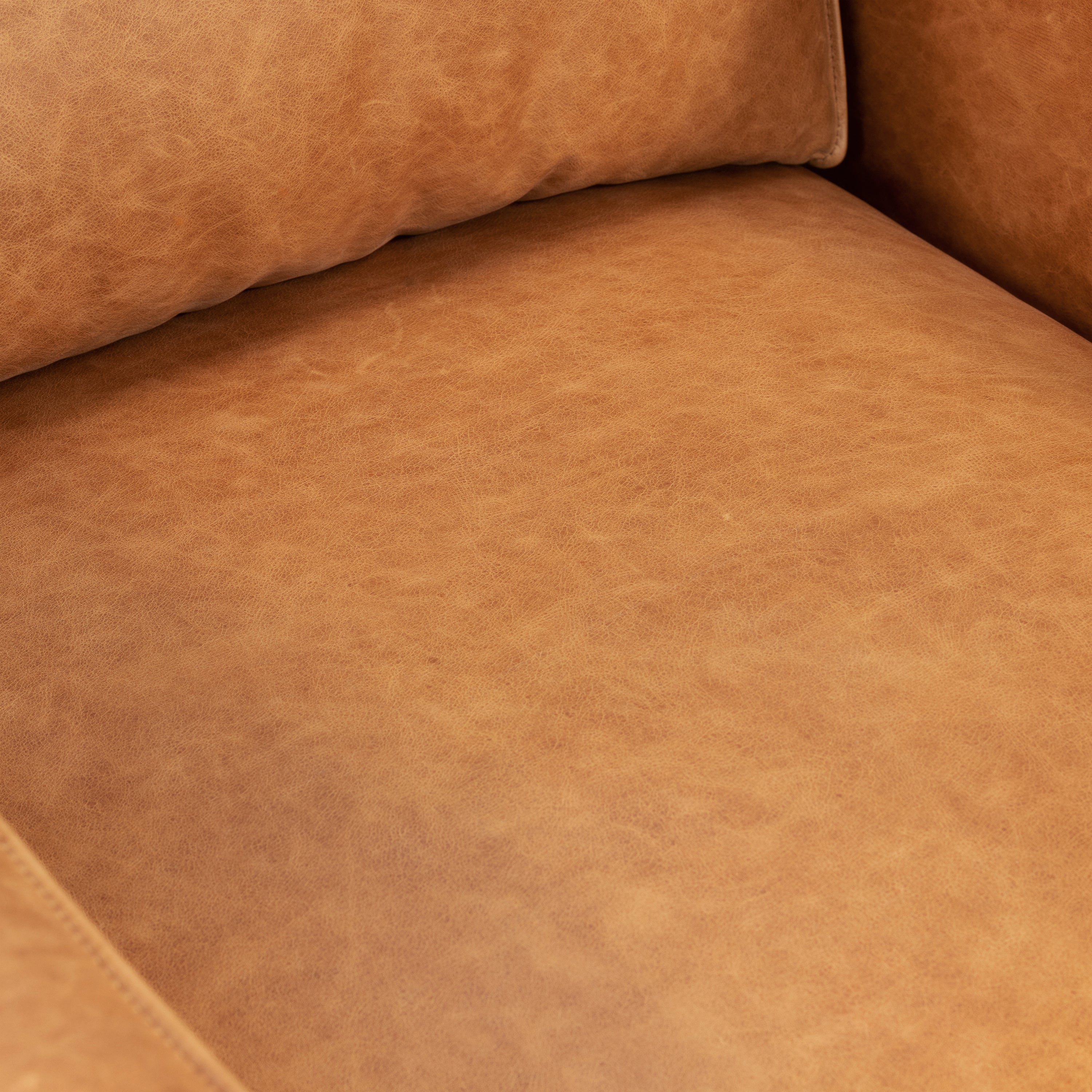 Modern Cognac Tan Leather Lounge Chair with Kiln-Dried Wood Frame