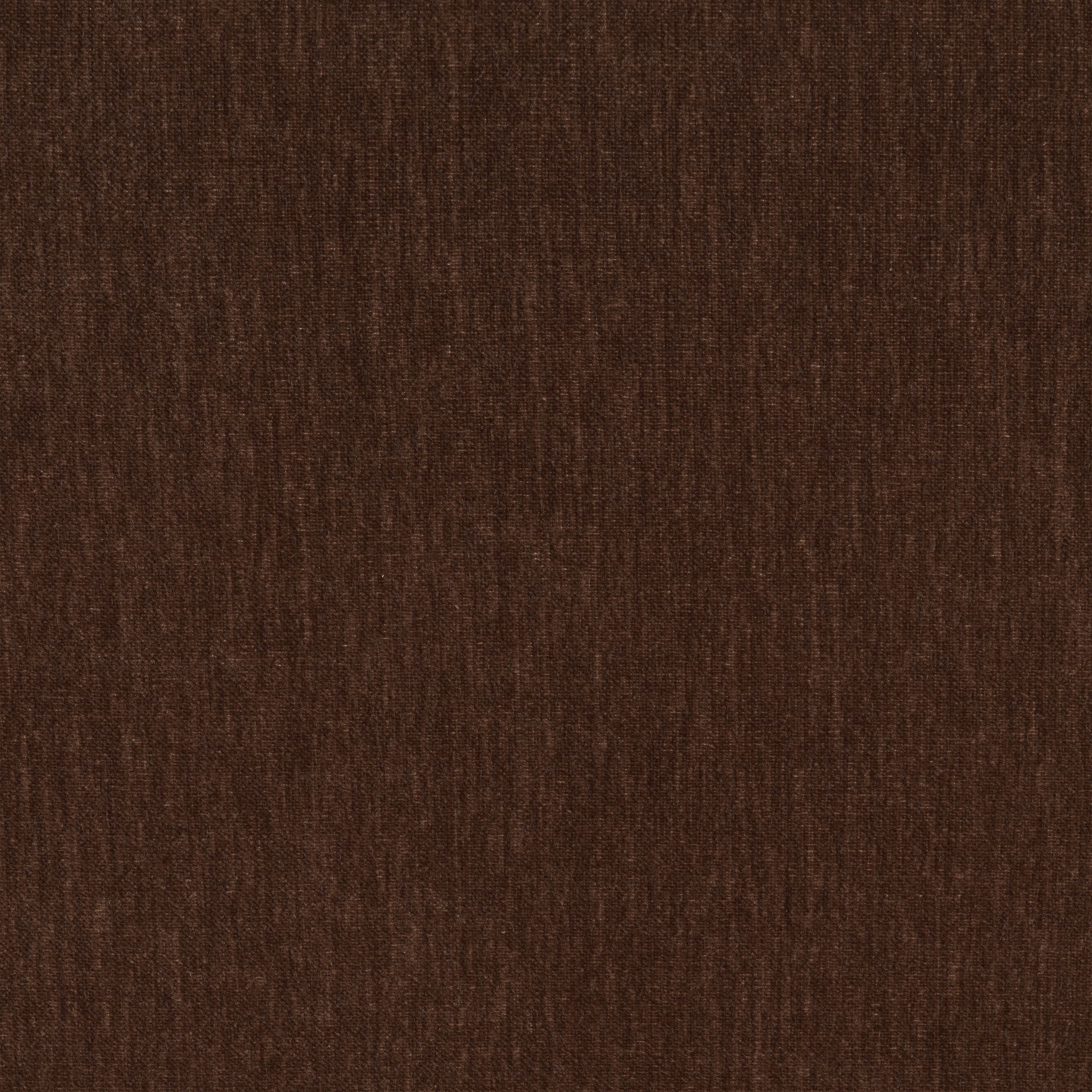 Modern Bronzer Brown Lounge Chair with Kiln-Dried Wood Frame