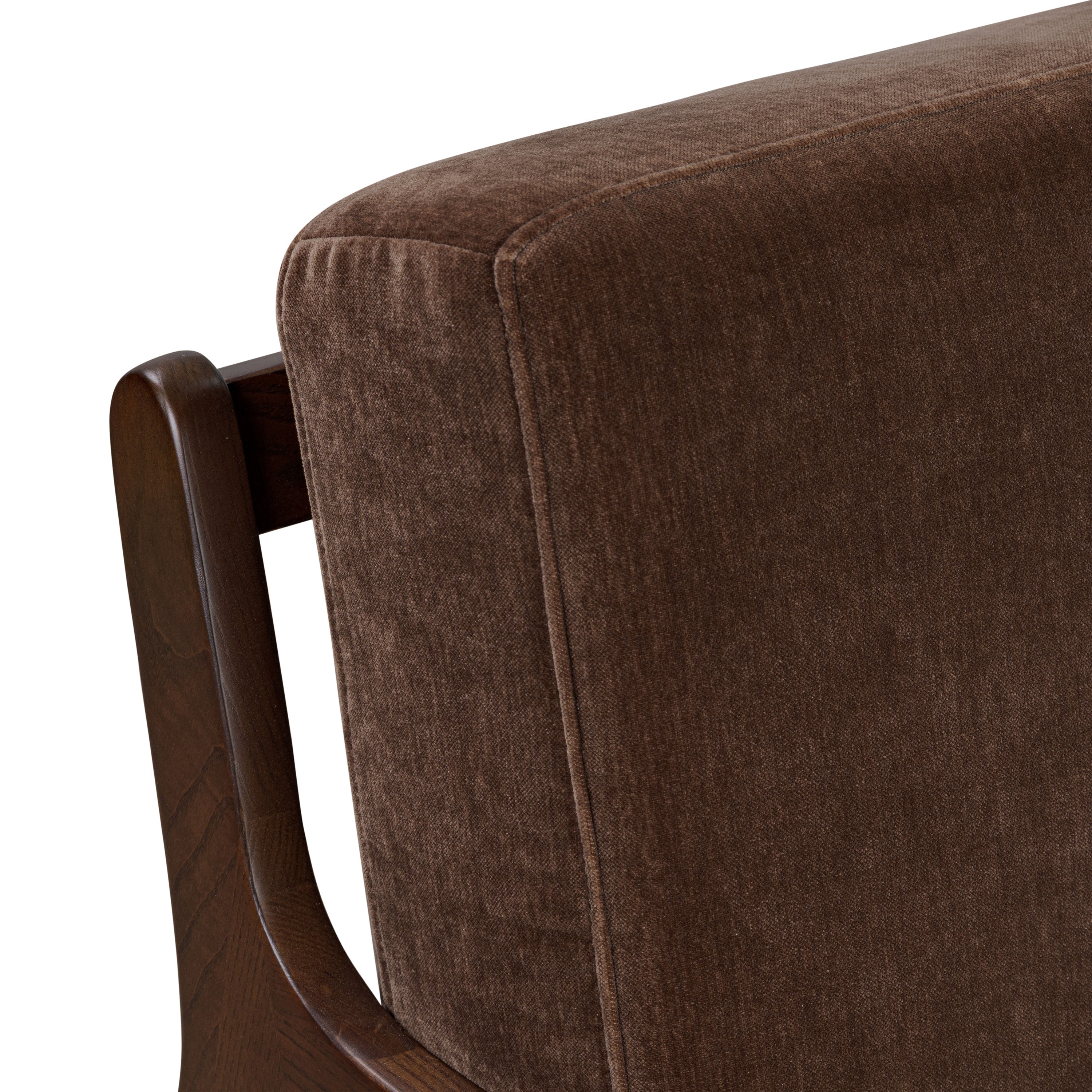 Modern Bronzer Brown Lounge Chair with Kiln-Dried Wood Frame