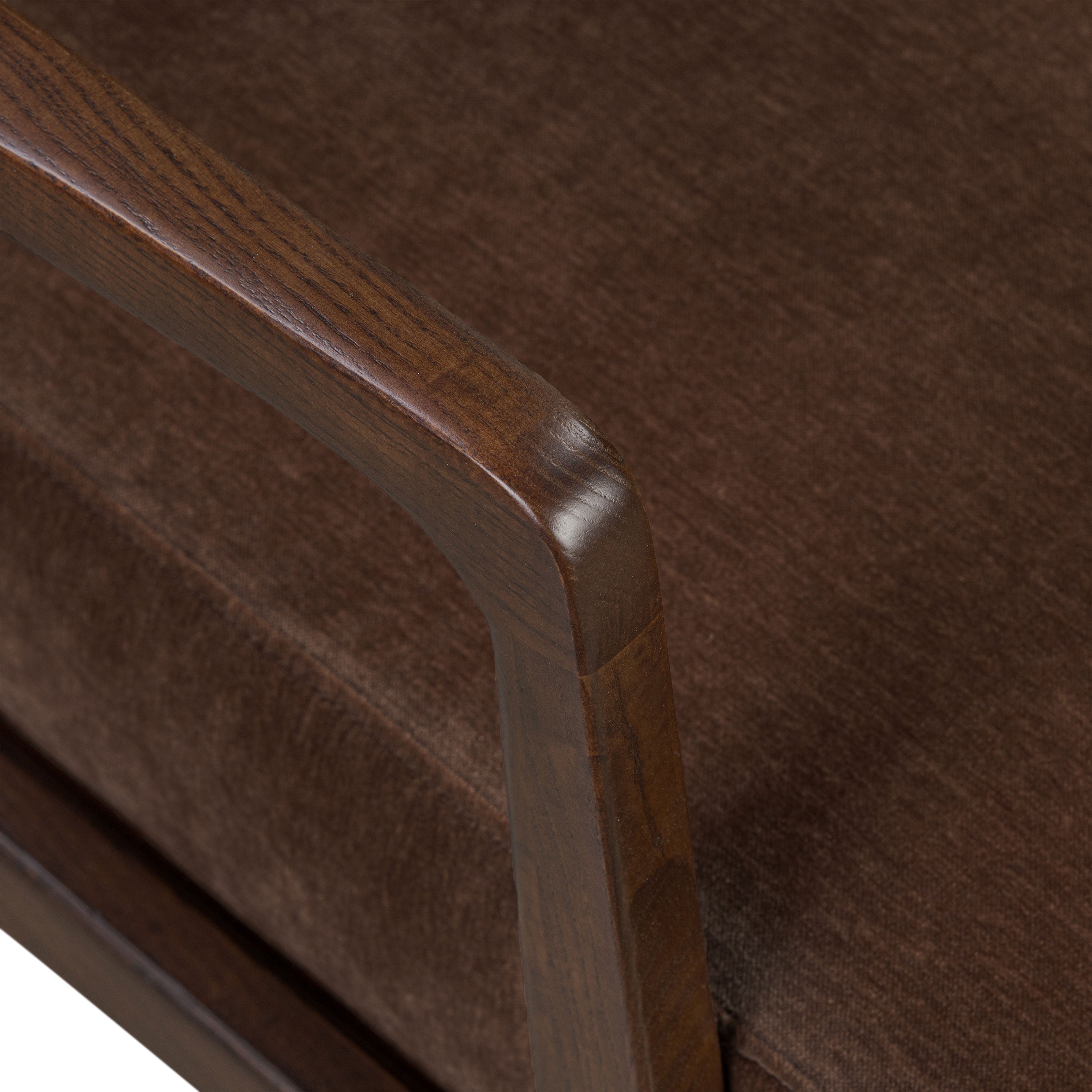 Modern Bronzer Brown Lounge Chair with Kiln-Dried Wood Frame