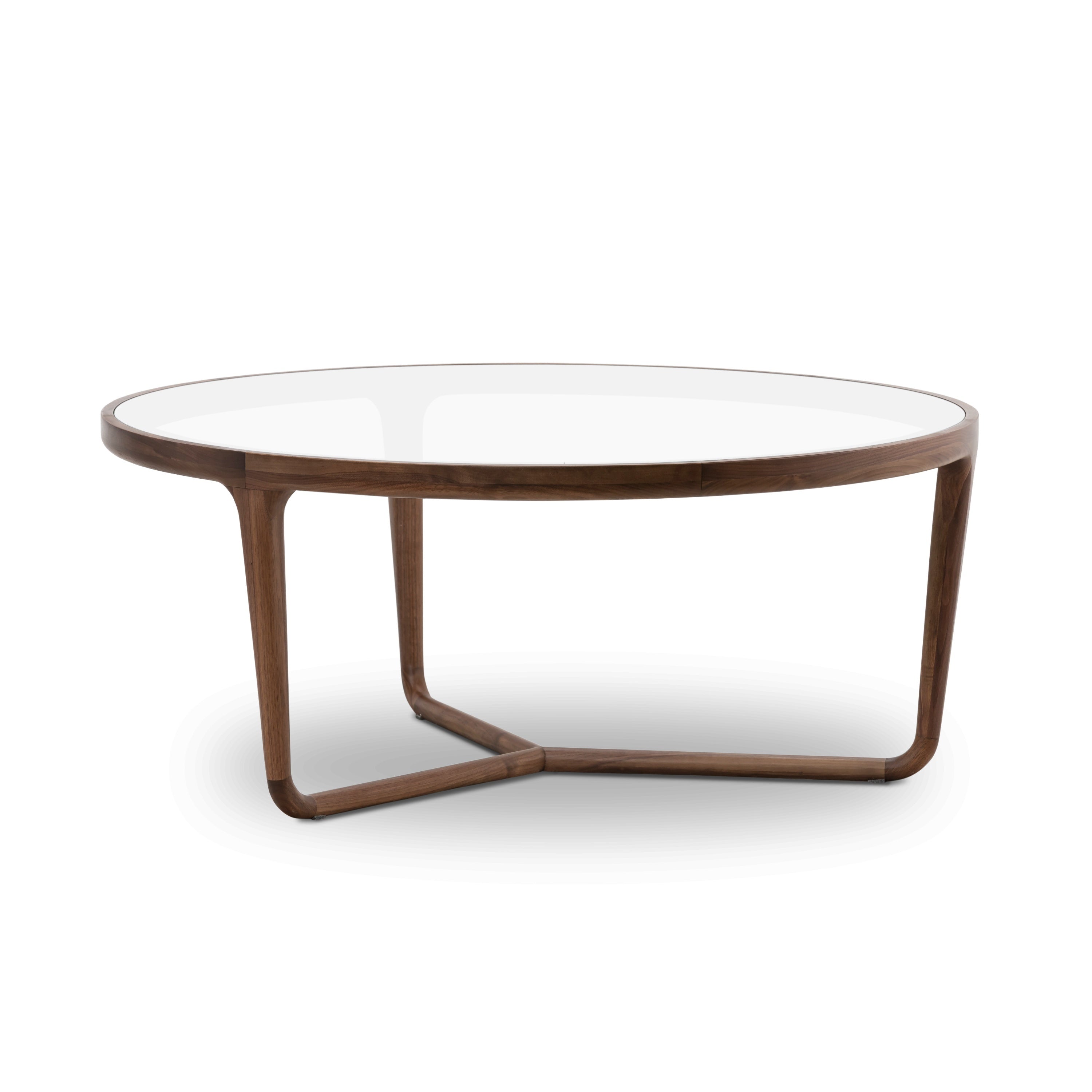 Modern Walnut Walnut Wood Coffee Table for Living Room