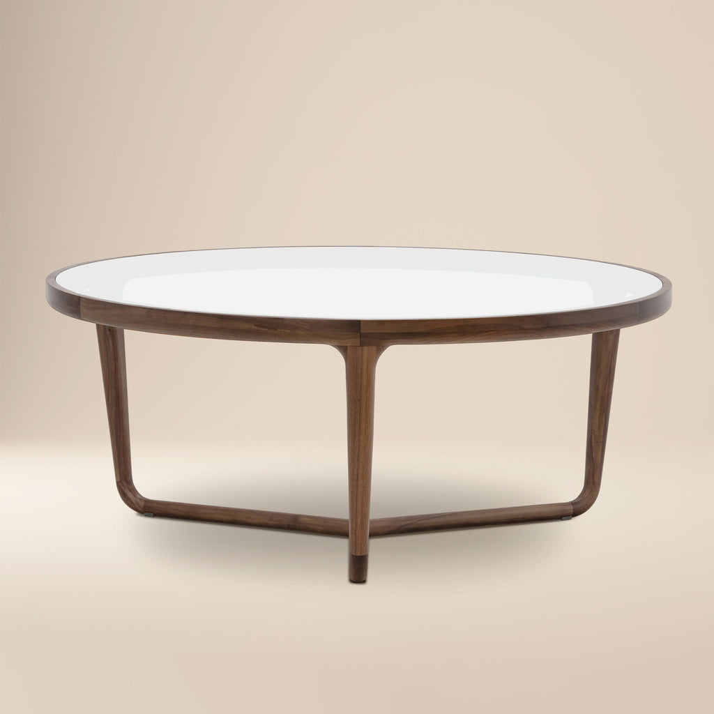 Modern Walnut Walnut Wood Coffee Table for Living Room