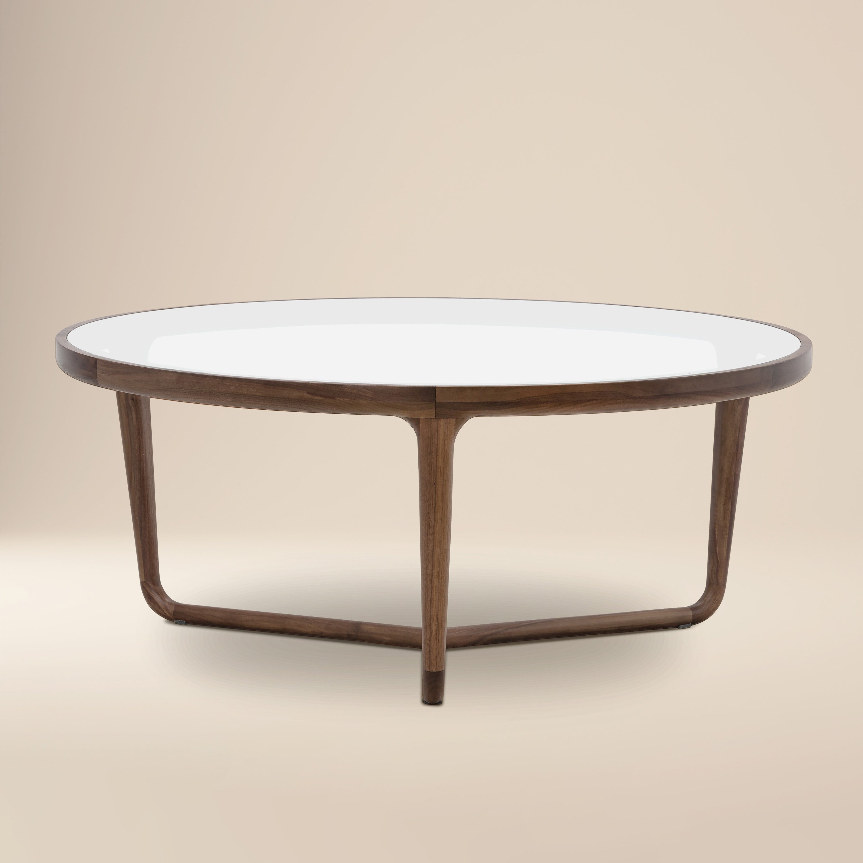 Modern Walnut Walnut Wood Coffee Table for Living Room