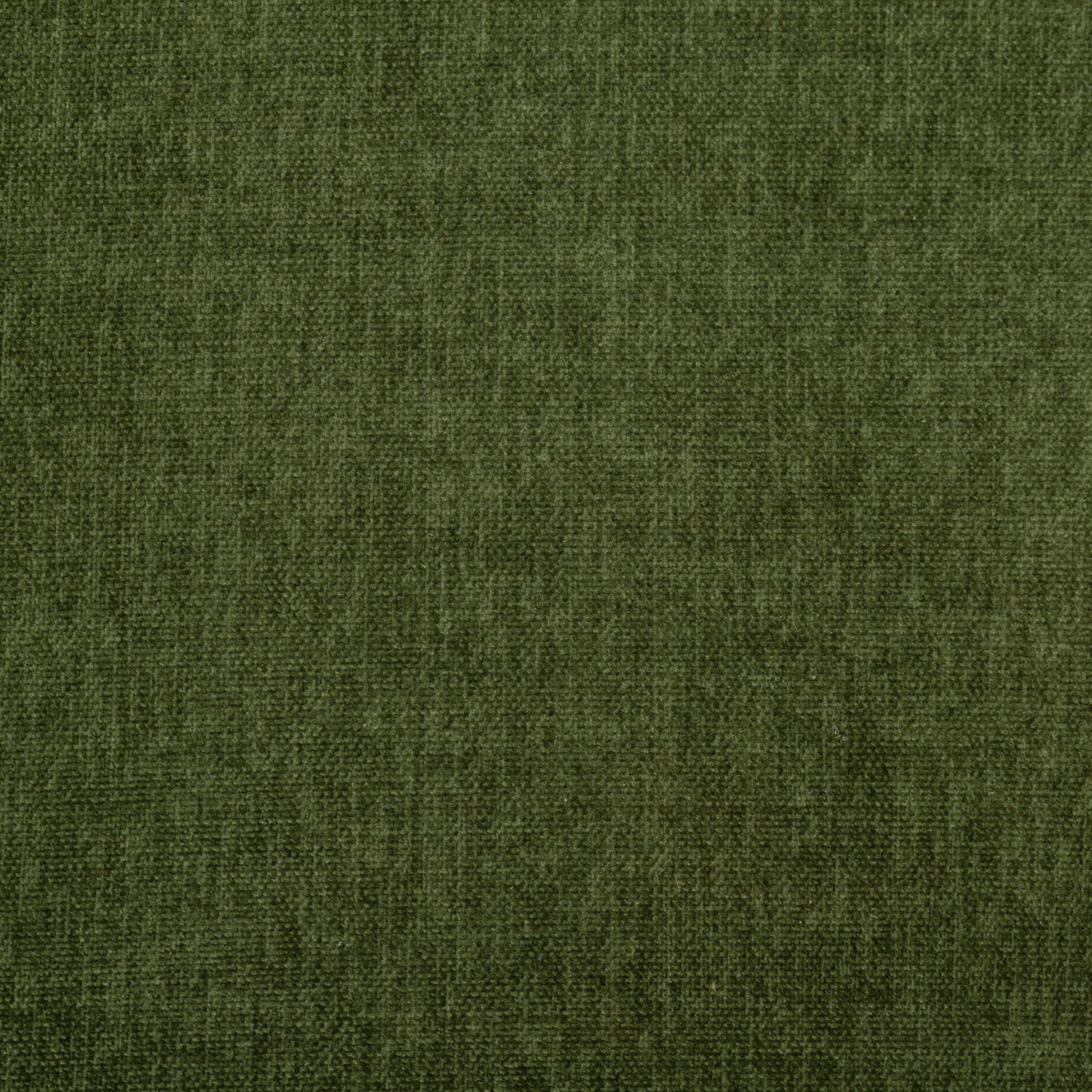 Modern Distressed Green Fabric Lounge Chair with Kiln-Dried Wood Frame