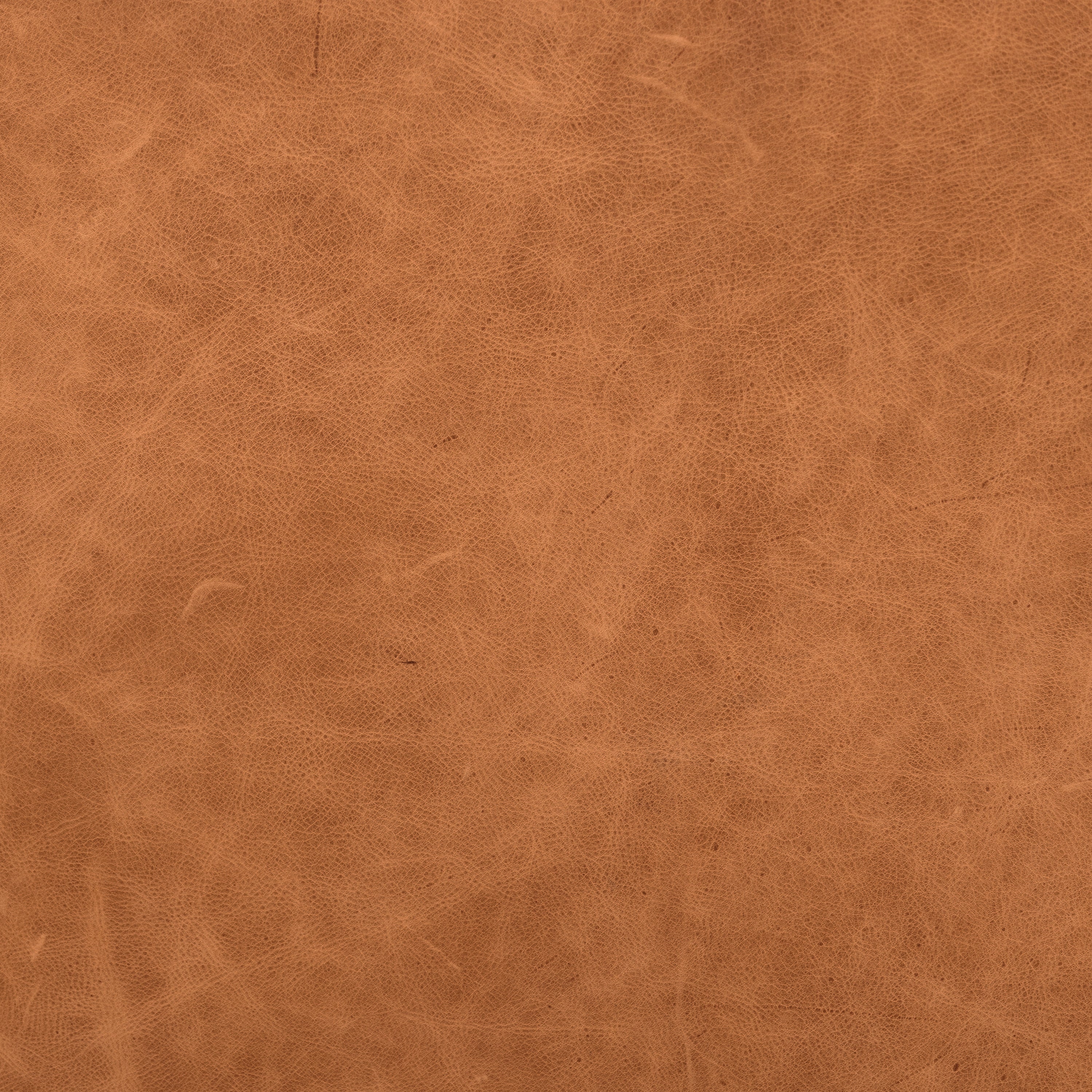 Modern Cognac Tan Leather Lounge Chair for Living Room