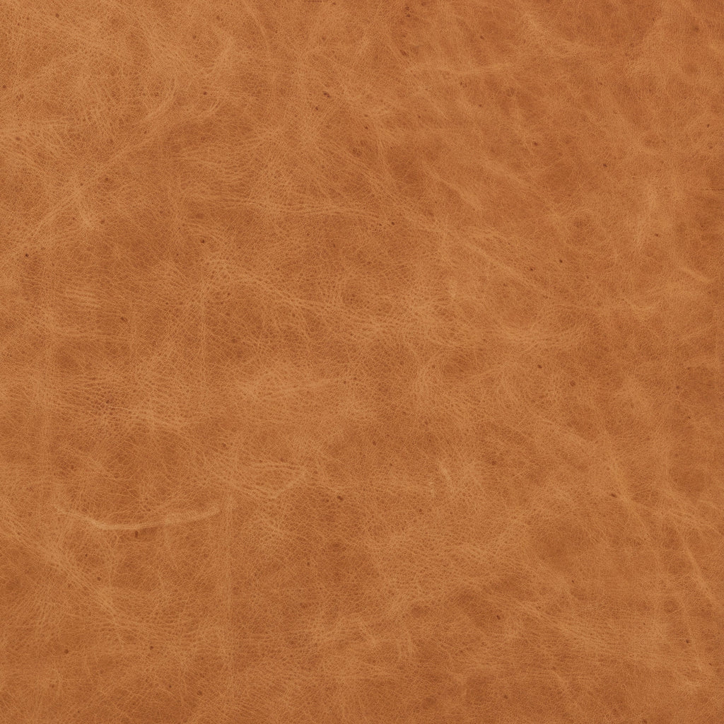 Modern Cognac Tan Leather Lounge Chair with Kiln-Dried Wood Frame
