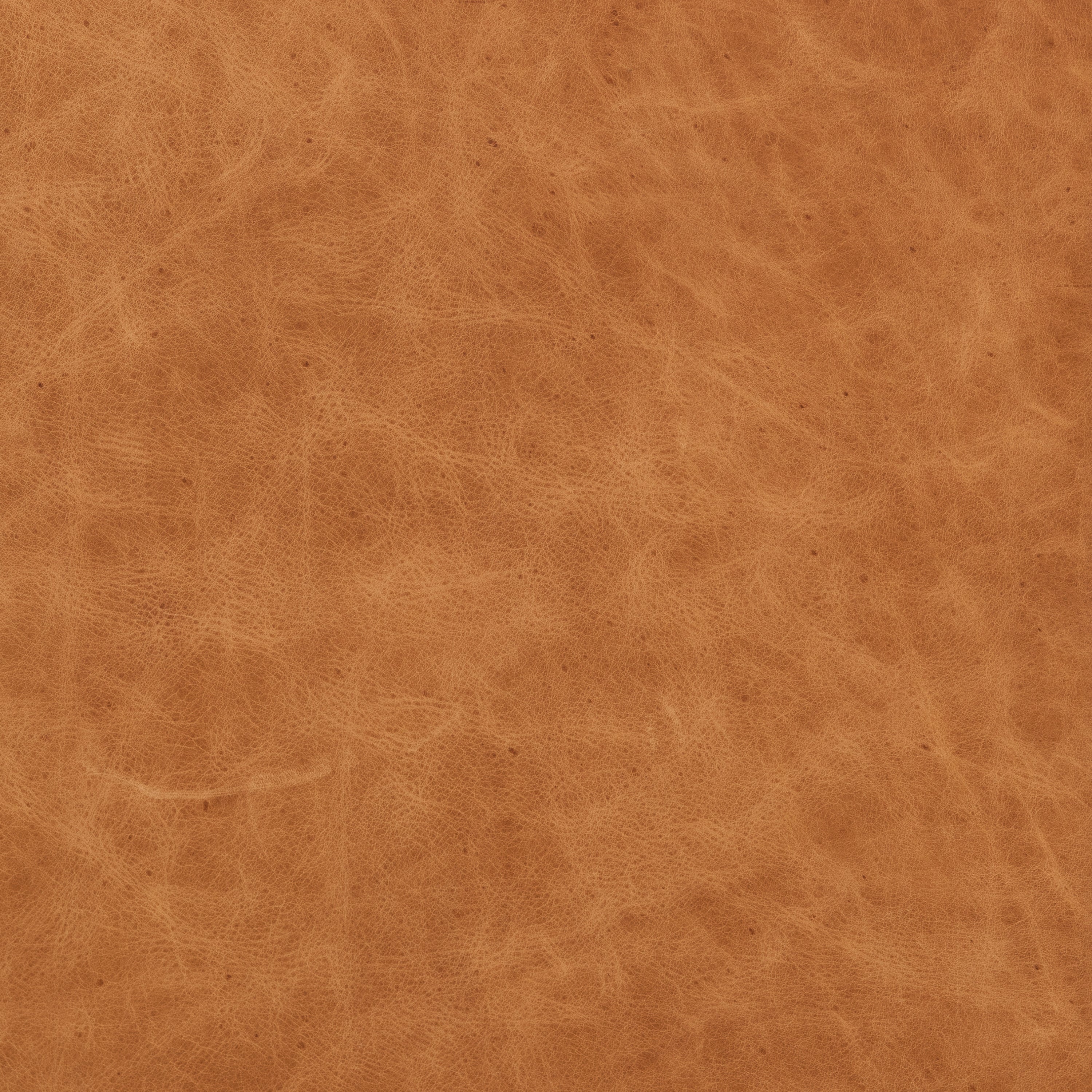 Modern Cognac Tan Leather Lounge Chair with Kiln-Dried Wood Frame