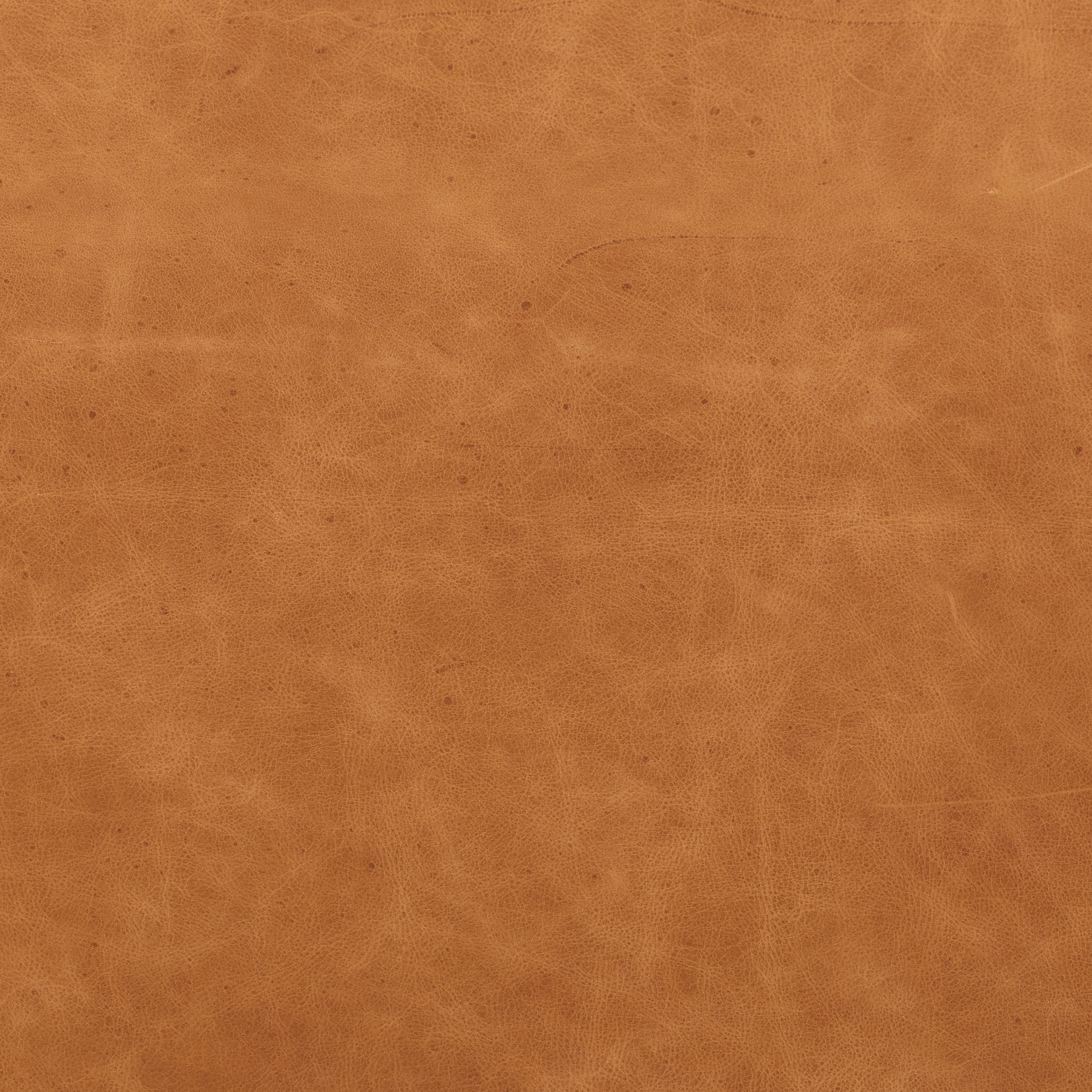 Modern Classic Cognac Tan Leather Lounge Chair with Solid Oak Frame