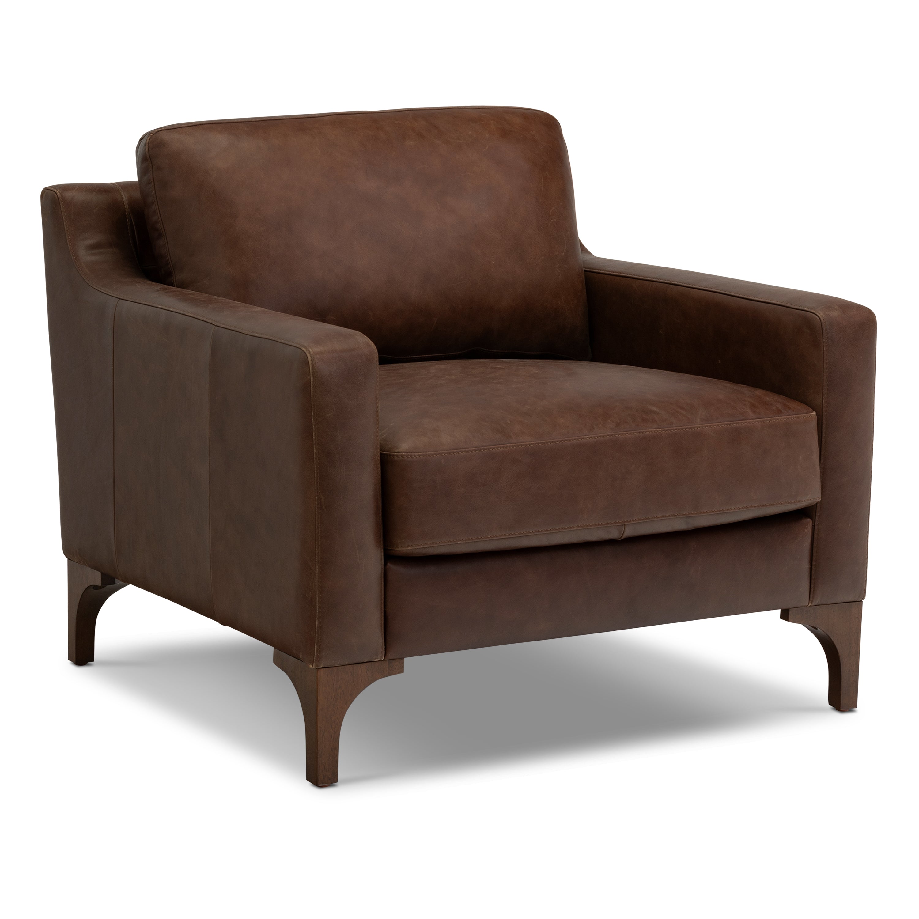 Modern Chocolate Brown Leather Lounge Chair with Kiln-Dried Wood Frame