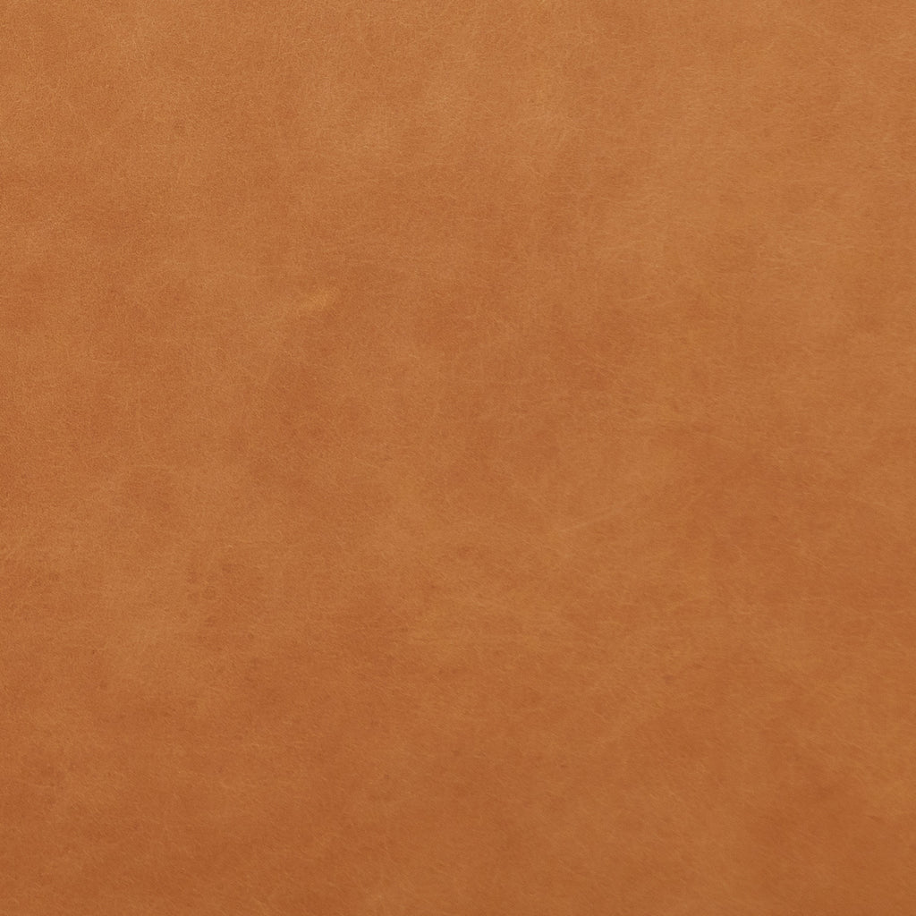 Modern Saddle Tan Leather Lounge Chair with Kiln-Dried Wood Frame
