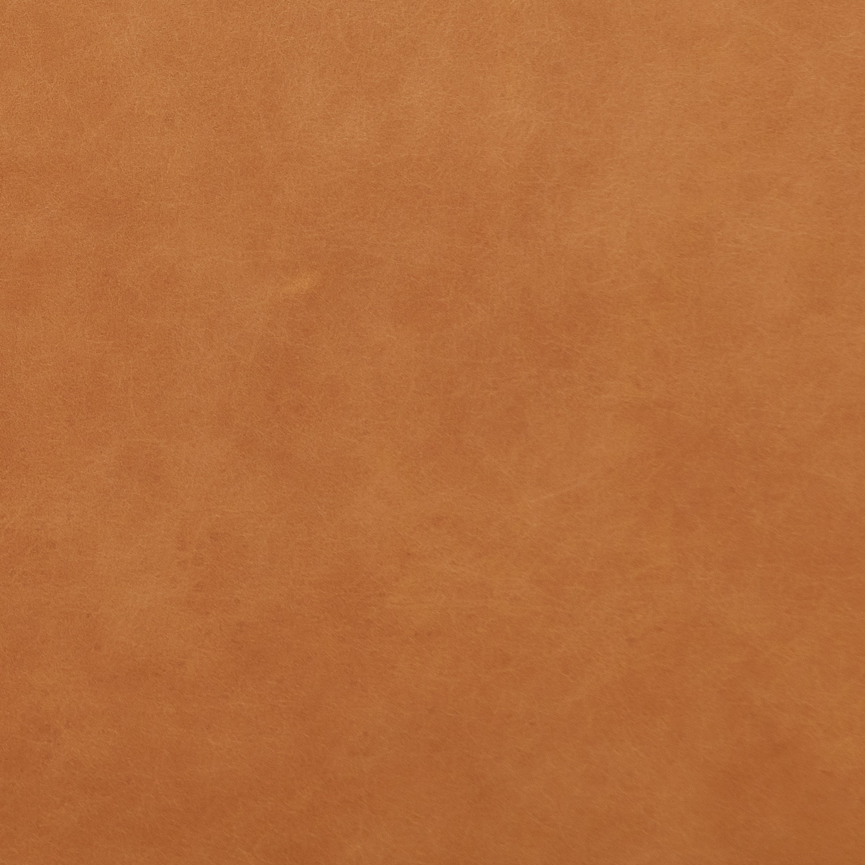Modern Saddle Tan Leather Lounge Chair with Kiln-Dried Wood Frame