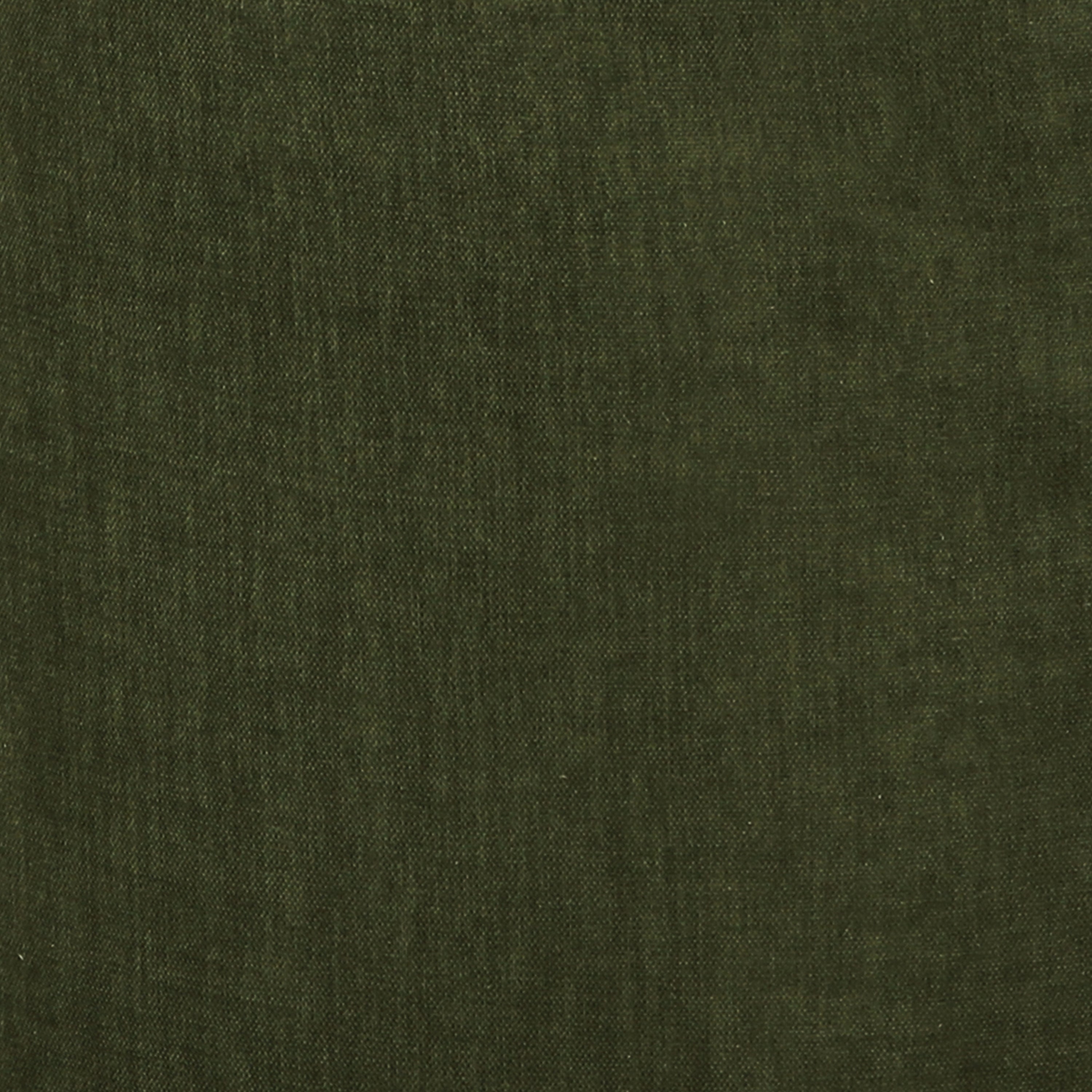 Modern Distressed Green Lounge Chair for Living Room