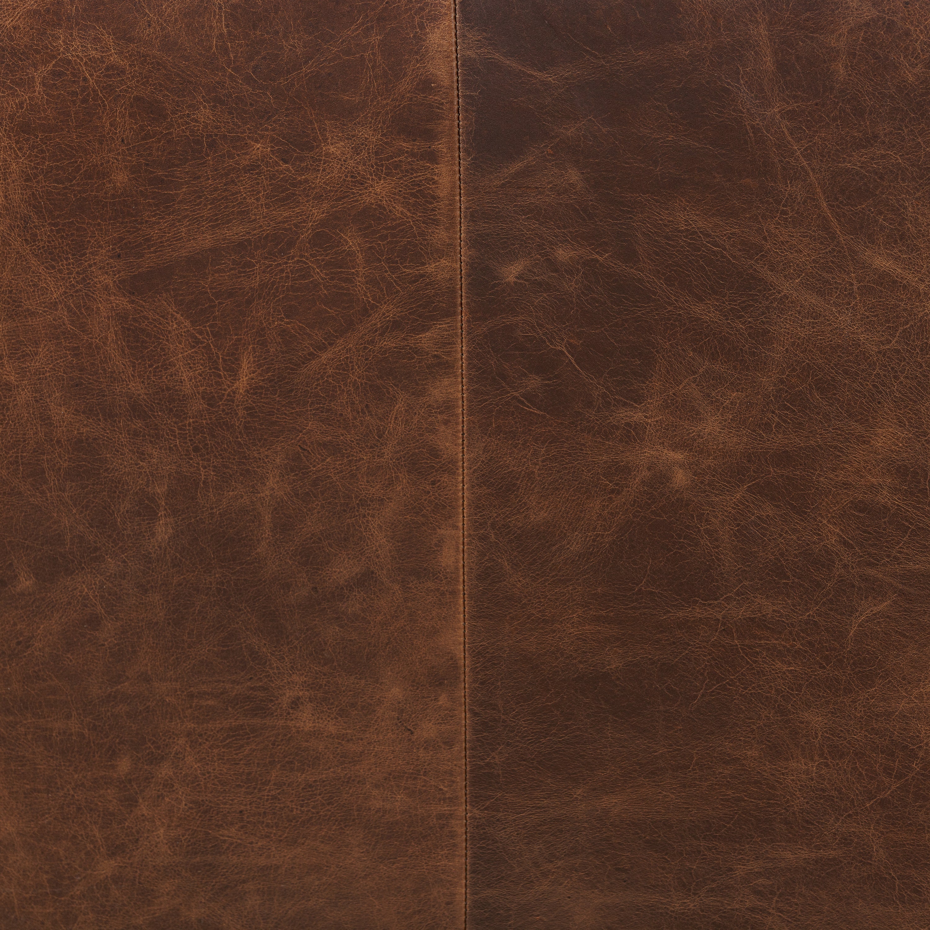 Modern Chocolate Brown Leather Lounge Chair with Kiln-Dried Wood Frame