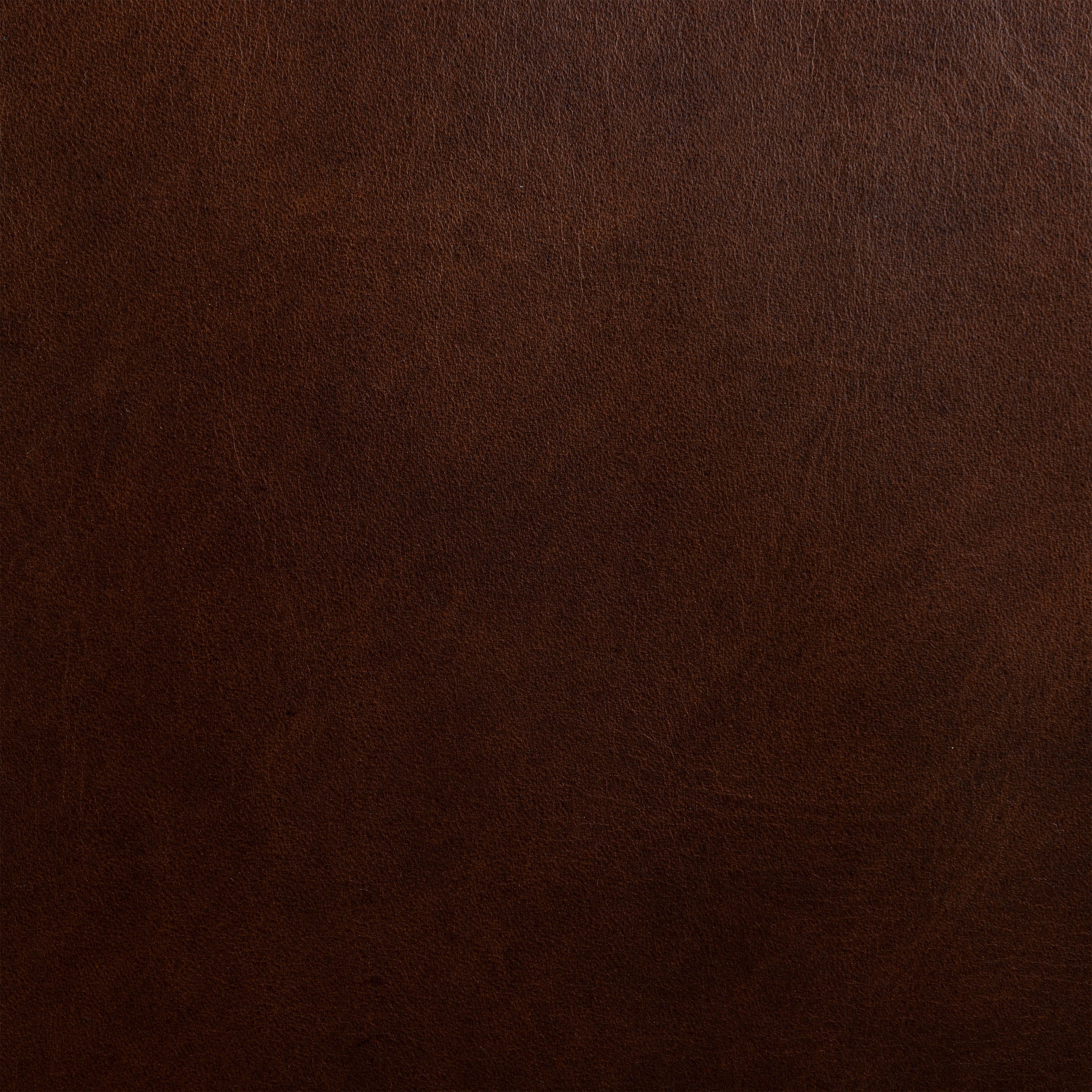 Mid-Century Modern Oscuro Brown Leather Lounge Chair with Tufted Back