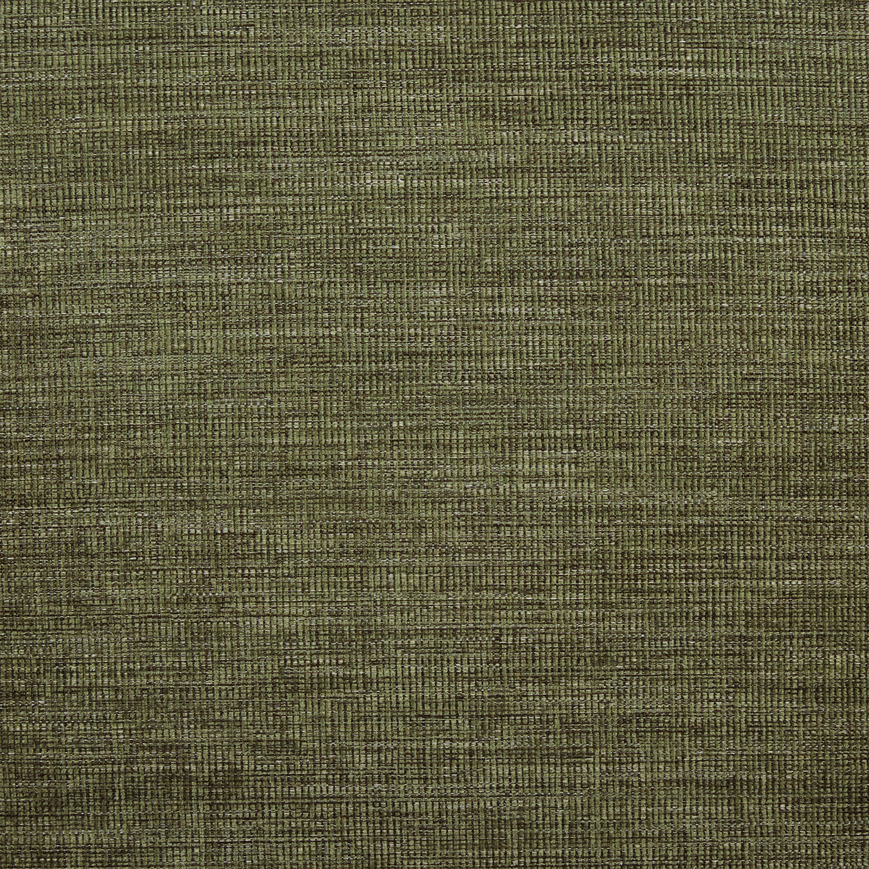 Modern Moss Green Lounge Chair with Kiln-Dried Wood Frame