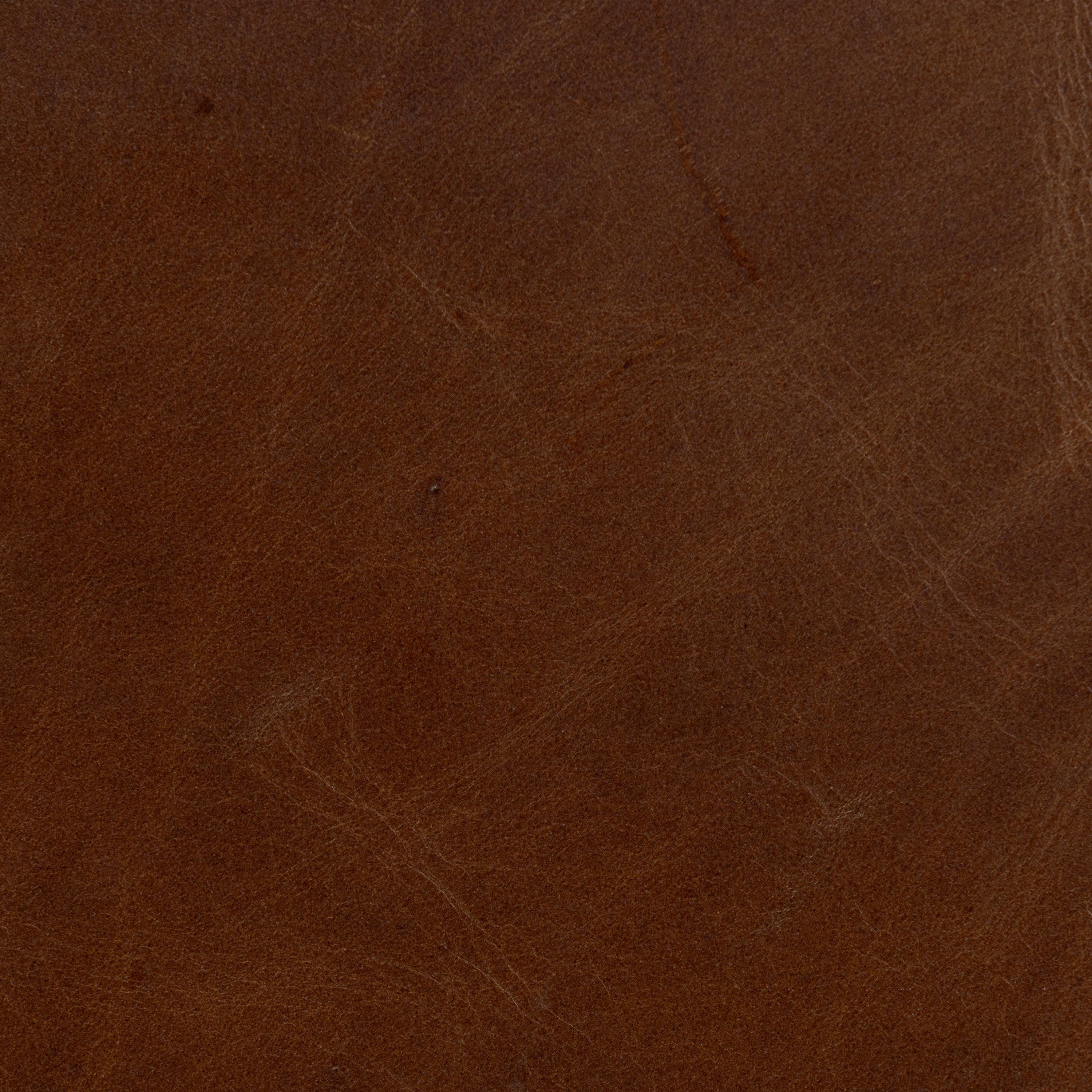 Modern Oscuro Brown Leather Lounge Chair with Solid Oak Frame
